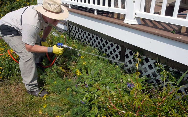 Spraying House