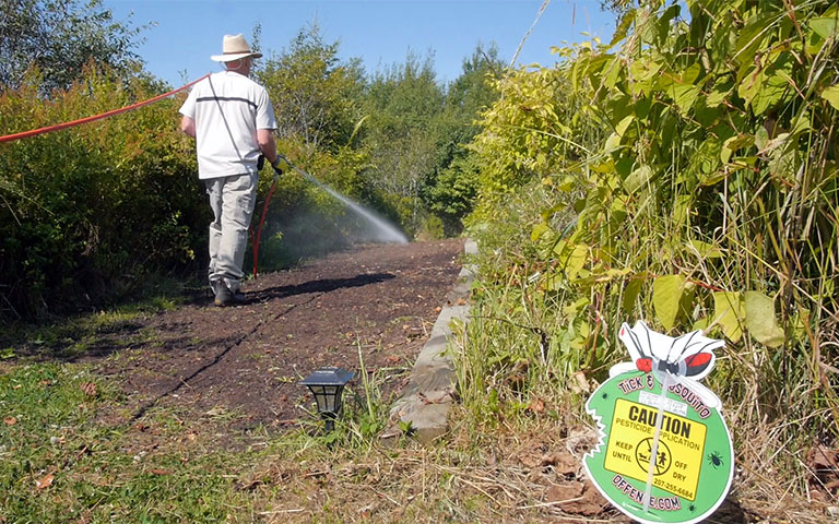 Spraying Walkway